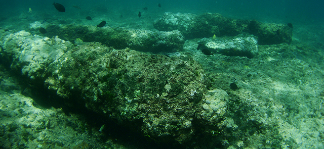 Publication : « Archéologie de la piraterie des XVIIe-XVIIIe siècles. Etude de la vie quotidienne des flibustiers de la mer des Caraïbes à l'océan Indien.» Sous la direction de Jean Soulat, Éditions Mergoil, Dremil-Lafarge, à paraître, 2019 . Publication : « Archéologie de la piraterie des XVIIe-XVIIIe siècles. Etude de la vie quotidienne des flibustiers de la mer des Caraïbes à l'océan Indien.» Sous la direction de Jean Soulat, Éditions Mergoil, Dremil-Lafarge, à paraître, 2019 .